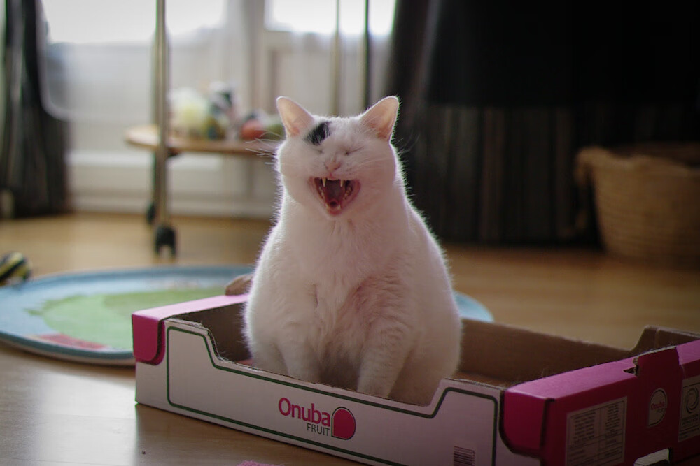 跨洋改写历史,北京队击退勇士,铁血伦纳德奥运关键战接管全场