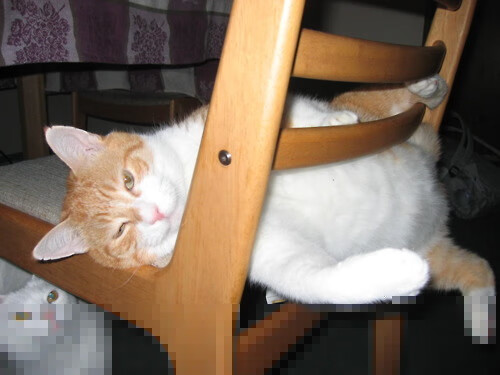 量子哨音,当篮球巨星踏入足球圣殿—记2026世界杯决赛夜与卡瓦伊·伦纳德的生涯之夜