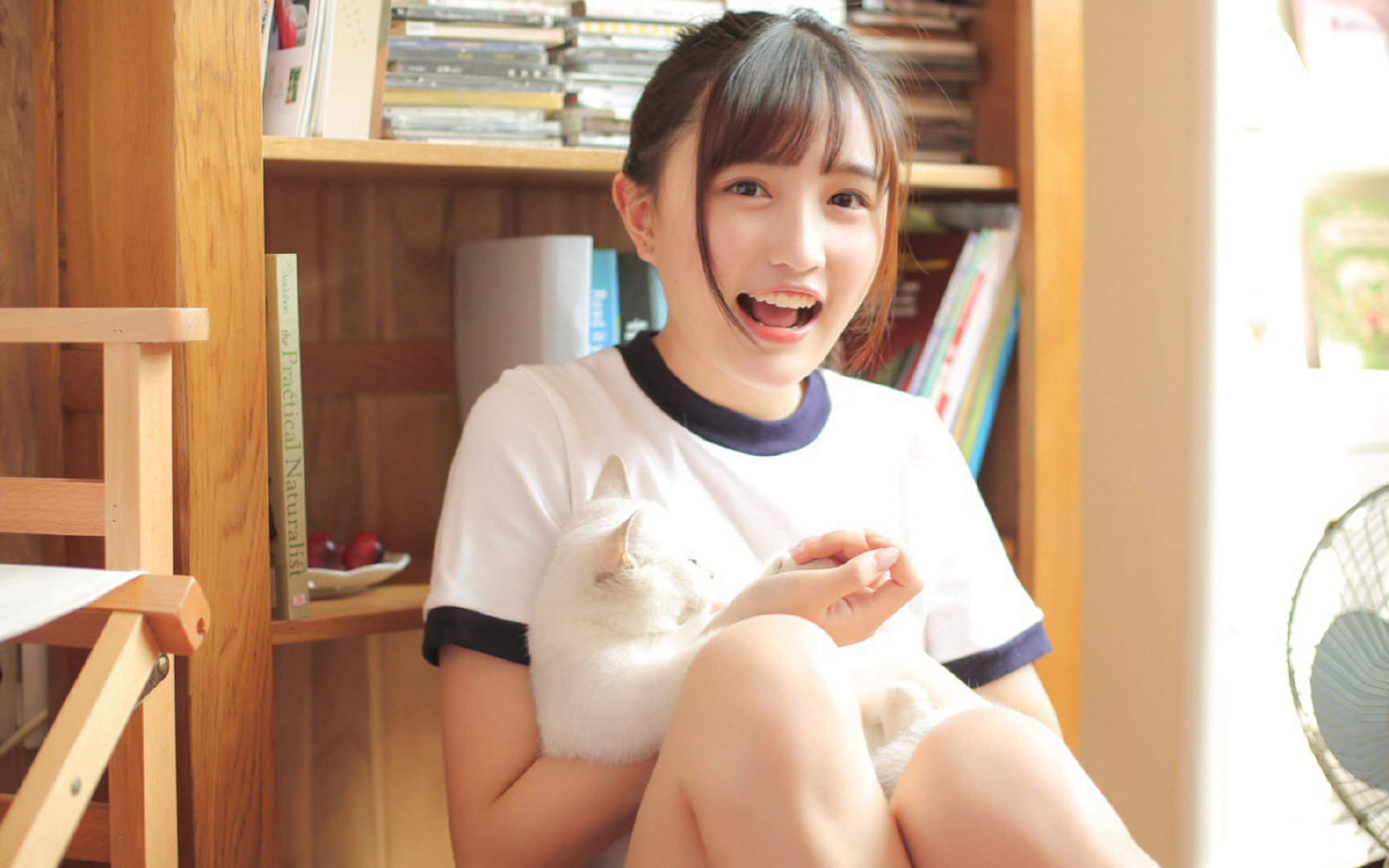 瑞士钟表般精密，封锁塞维利亚每一寸血管，托尼的刀刃在精密齿轮间持续切割