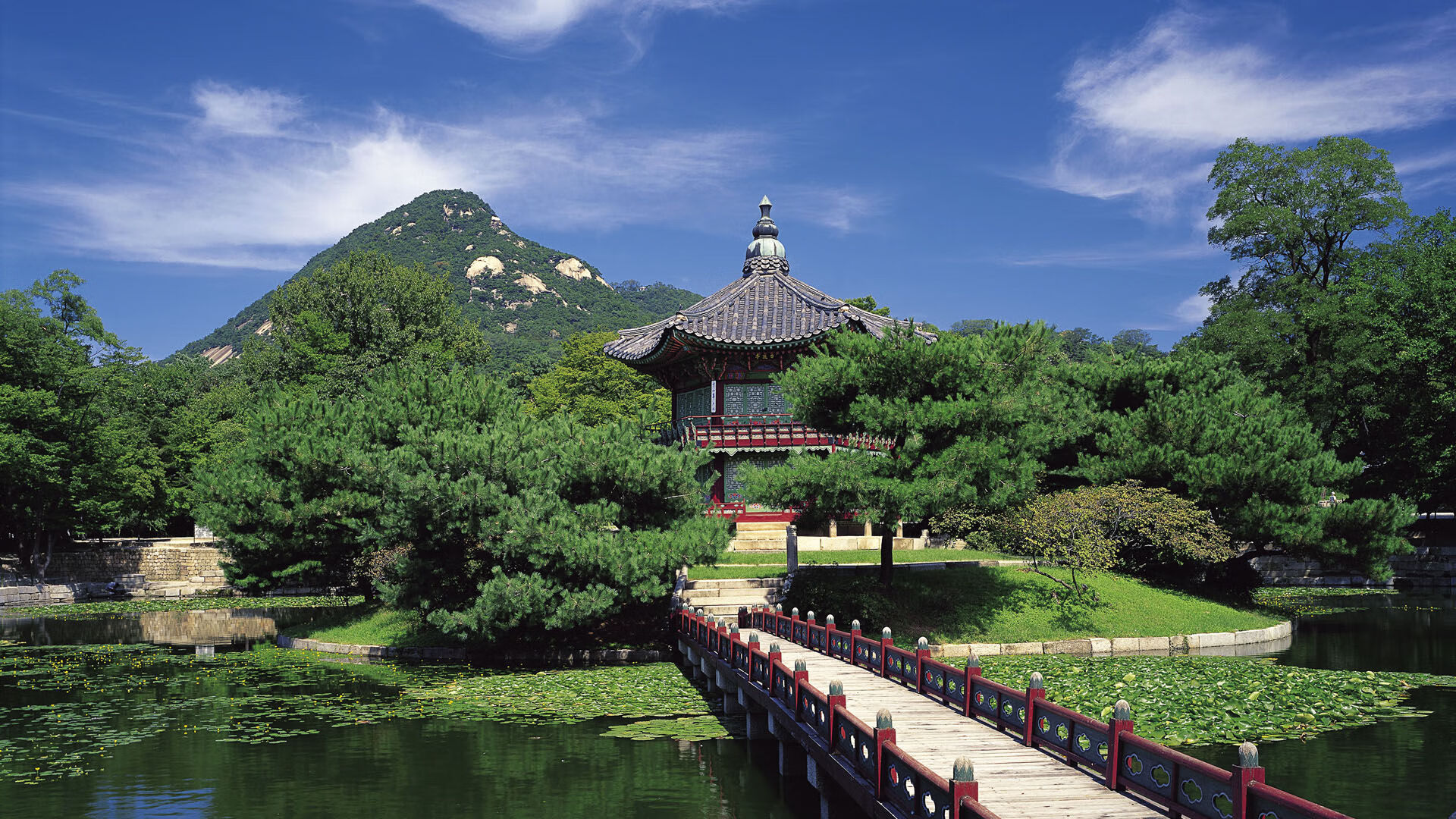 横跨大西洋的共鸣，当爱尔兰橄榄球与NBA的末节之王同频