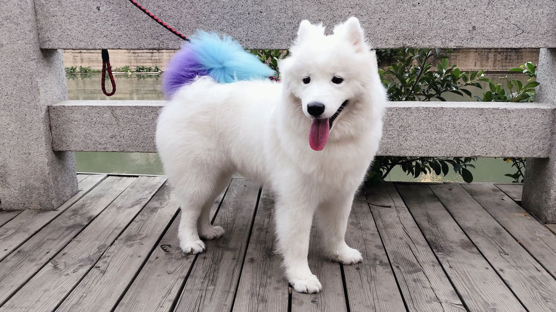 降维打击，厄瓜多尔3-0马竞—那场不存在的欧冠焦点战