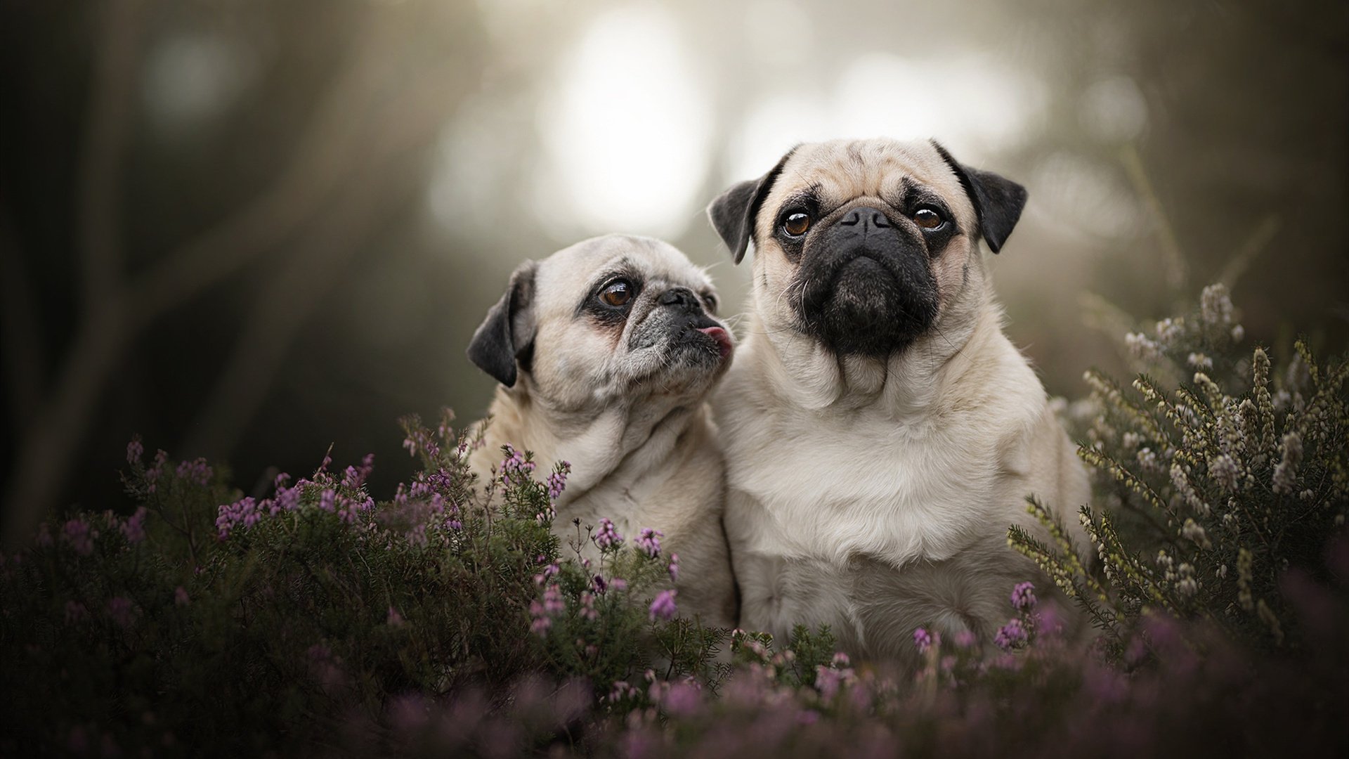 绝境逆转！格纳布里两射一传导演史诗翻盘