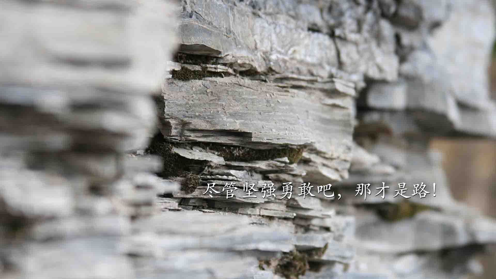 压力纪元，当安联球场遇见金州午夜—德甲争冠夜与库里的跨时空交响