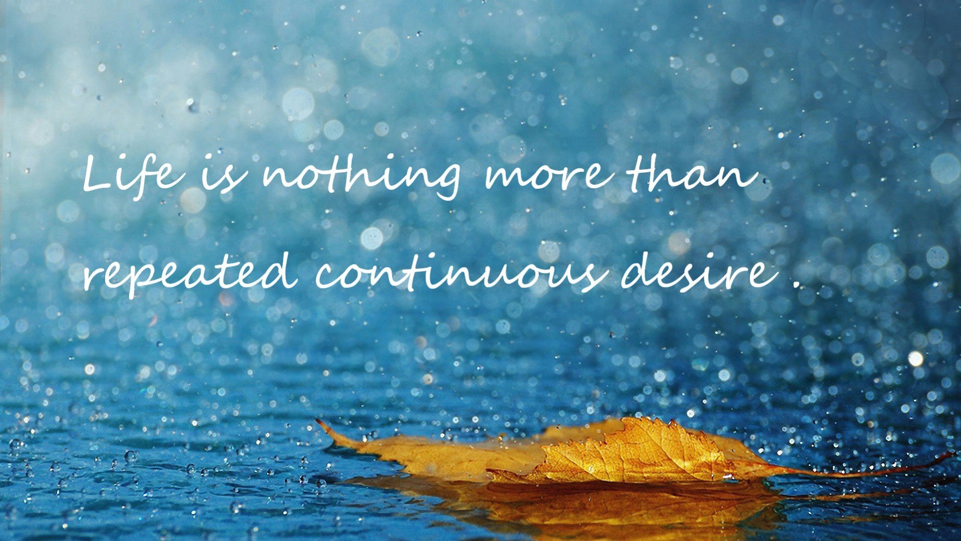 文班亚马次节15分点燃高潮，湖人一波流带走爵士，法国新星化身关键先生