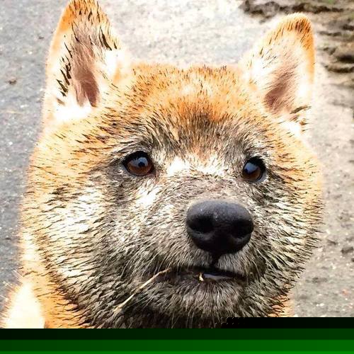 双线奇迹夜，老特拉福德绝杀与巴林赛道的坎特式接管