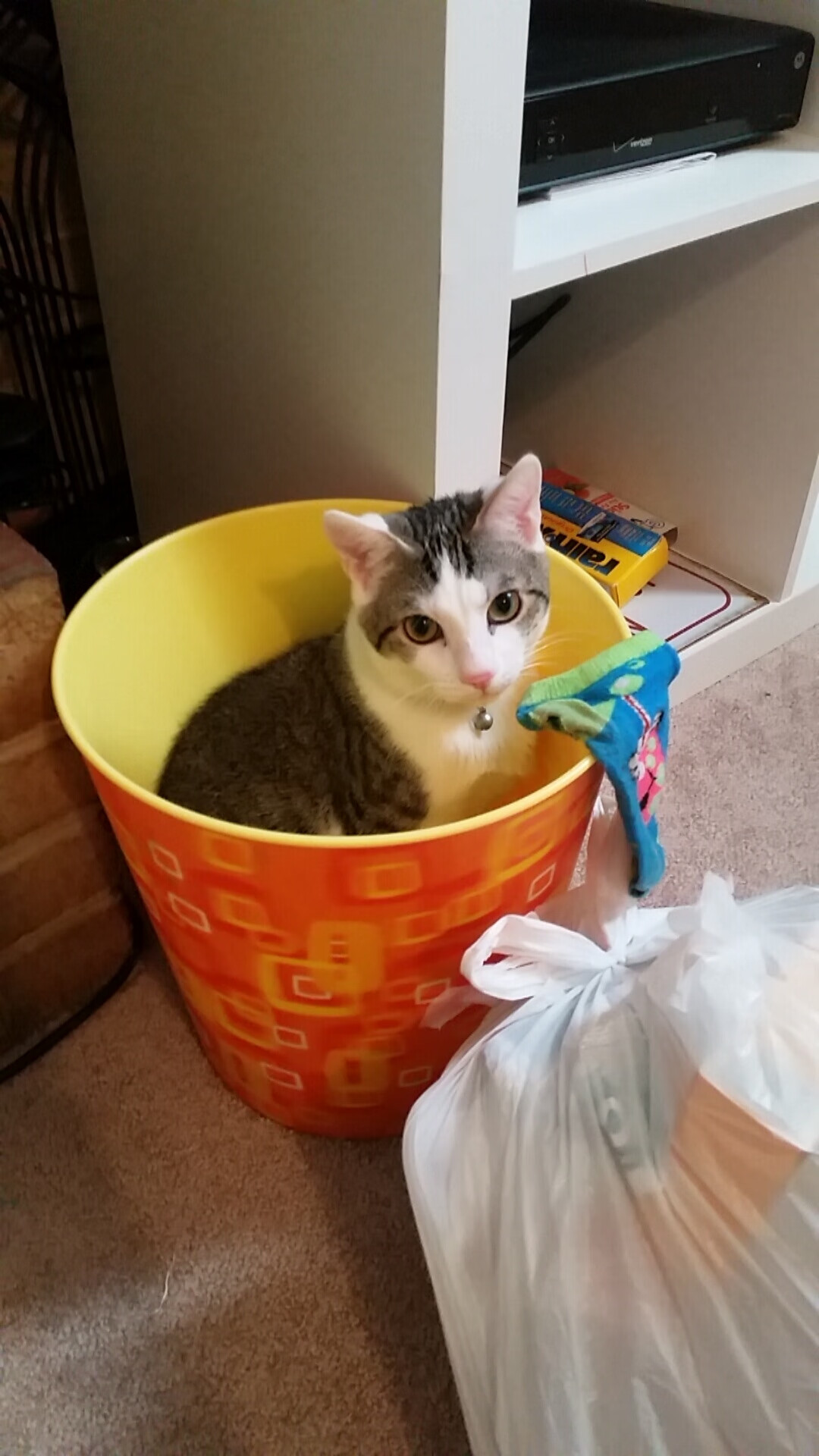 孤胆或体系？生死时刻，谁才是体育唯一的真神