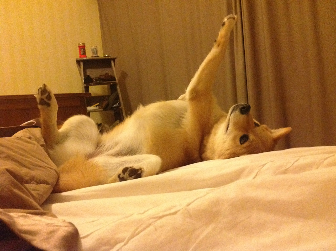 阿坎吉闪耀，冰封挪威战吼，一场定义巨星与体系的完胜