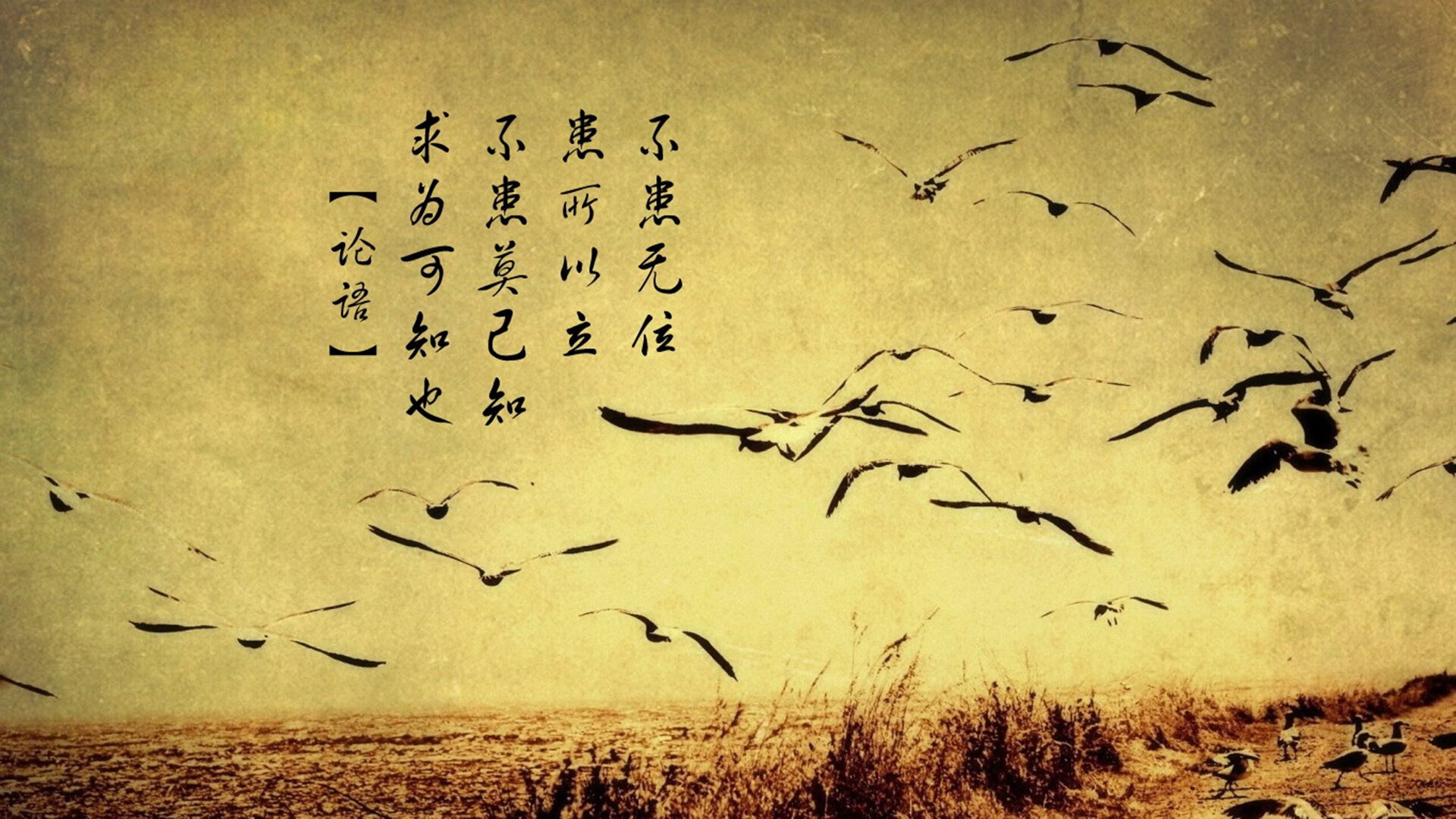 足球唯一性之夜,马里火力压制澳大利亚,加克波欧冠淘汰赛主宰比赛