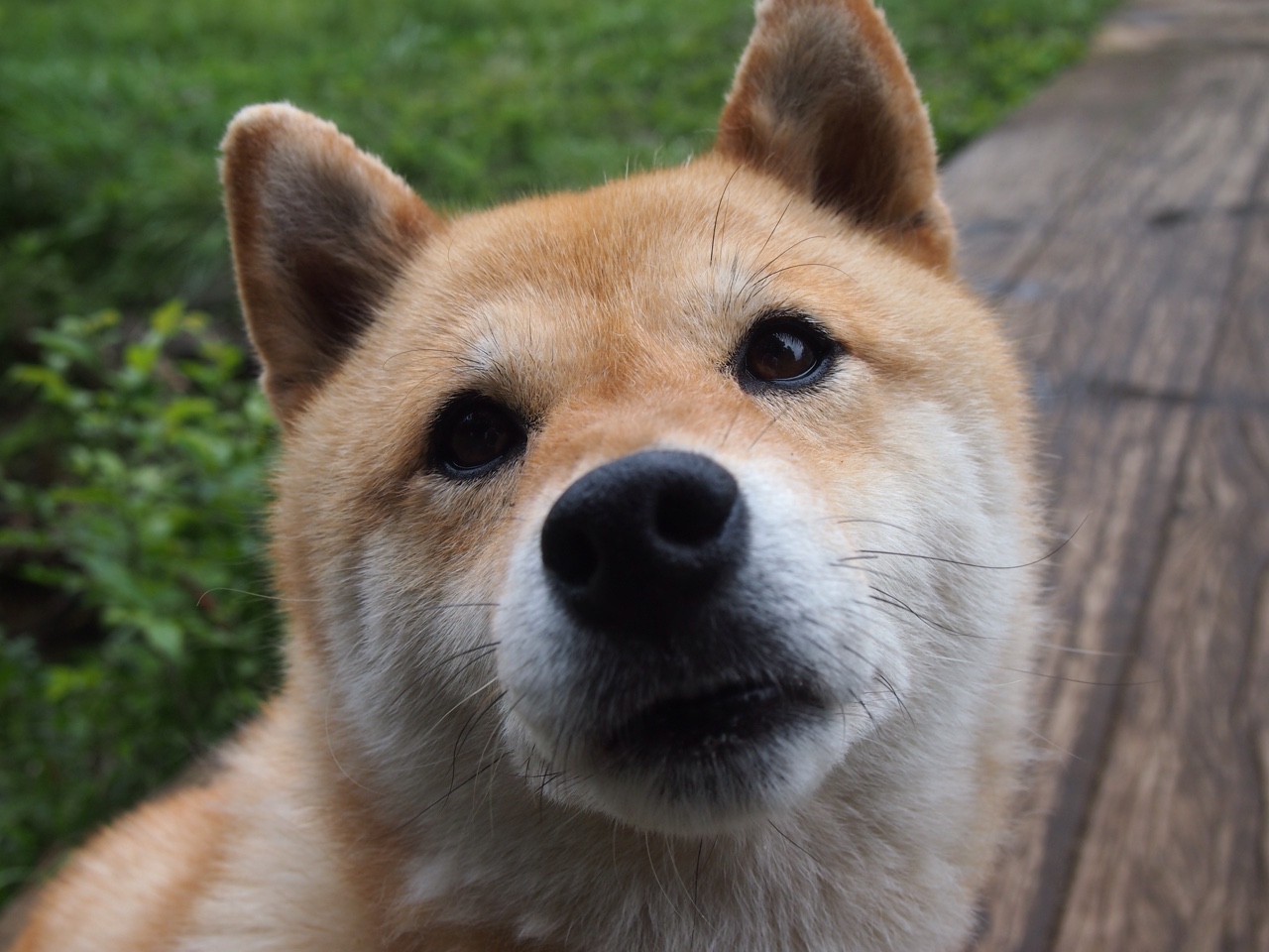 戈贝尔用最古典的篮筐守护，映照老鹰最现代的一场颠覆