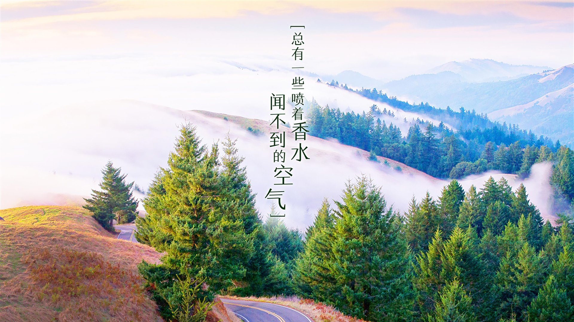 战术铁幕下的风暴眼,埃及的火力压制与萨卡的致命舞蹈