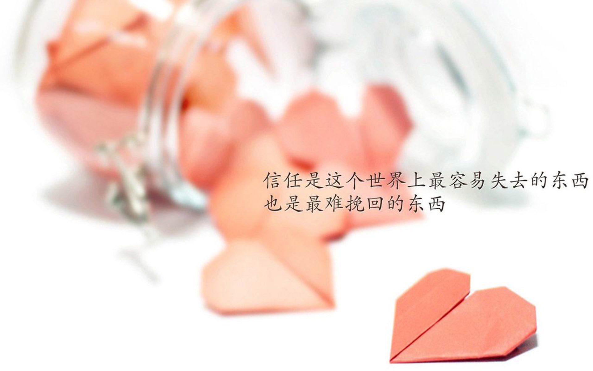 魔笛的独舞,与维京战吼的终结,2026世界杯G组,一场关于唯一性的寓言