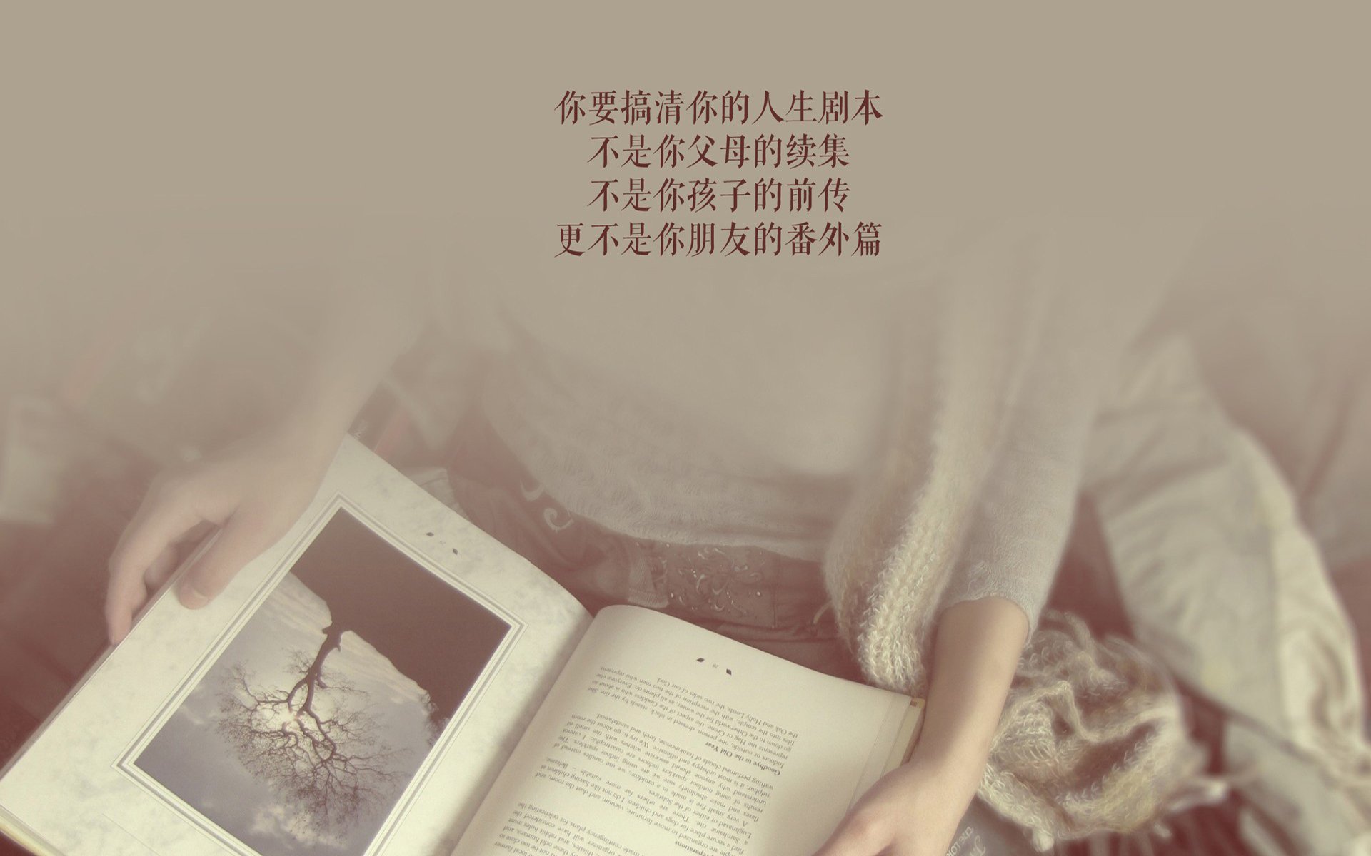 以影子之名,格列兹曼的隐形王座,如何重塑了2026年世界杯D组的唯一性