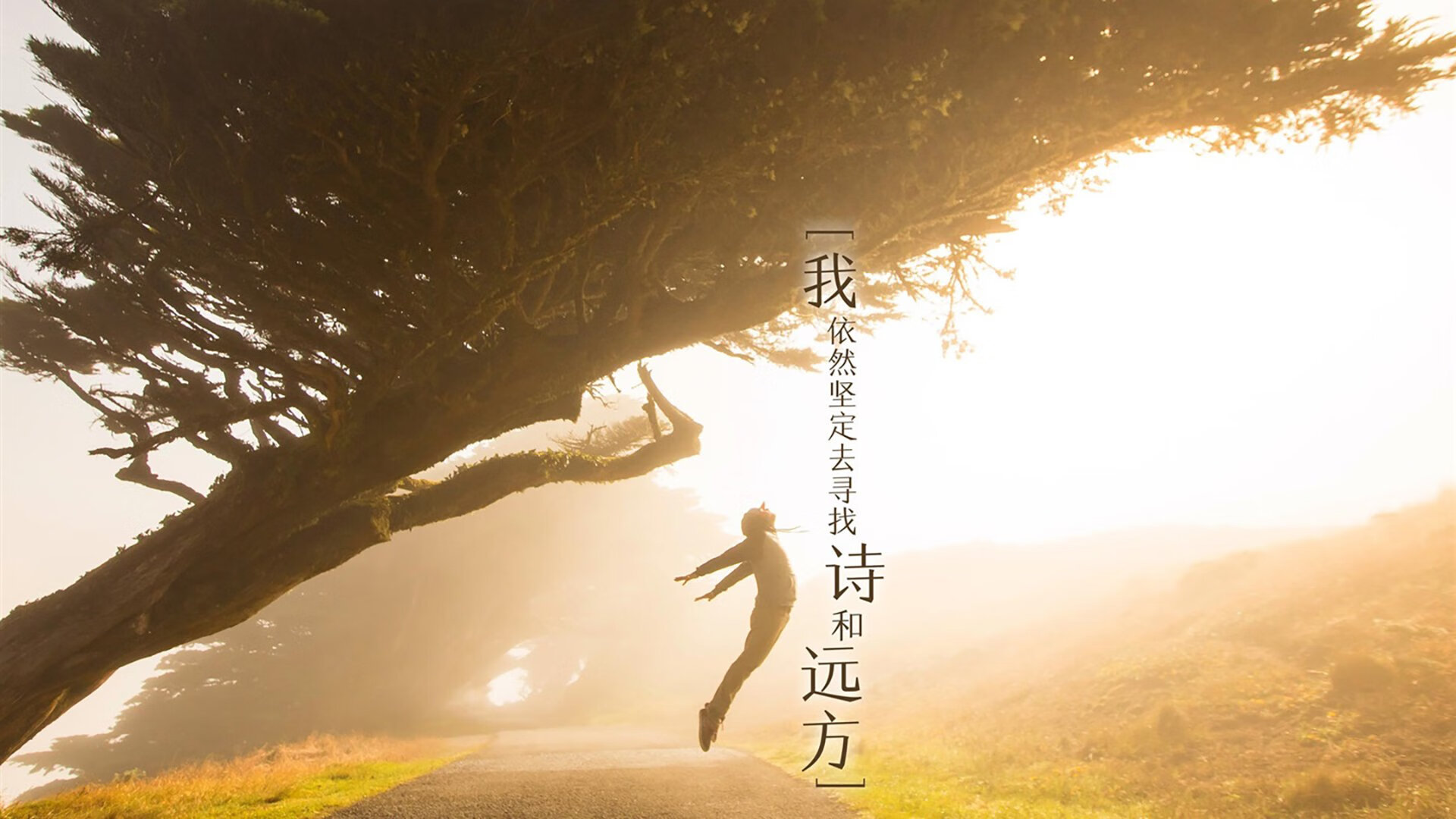 冰火奇谋,罗德里戈的临场神算,如何让冰岛在2026世界杯E组焦点战中融化瑞士?