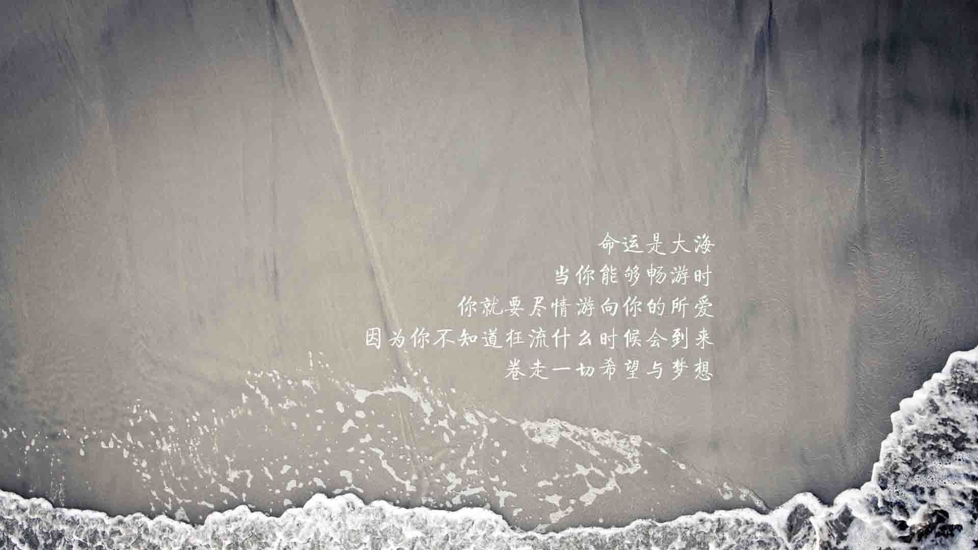 闪电战与独奏曲,2026世界杯C组焦点战,萨内以一人之力撕裂突尼斯,德国战车碾过北非铁骑
